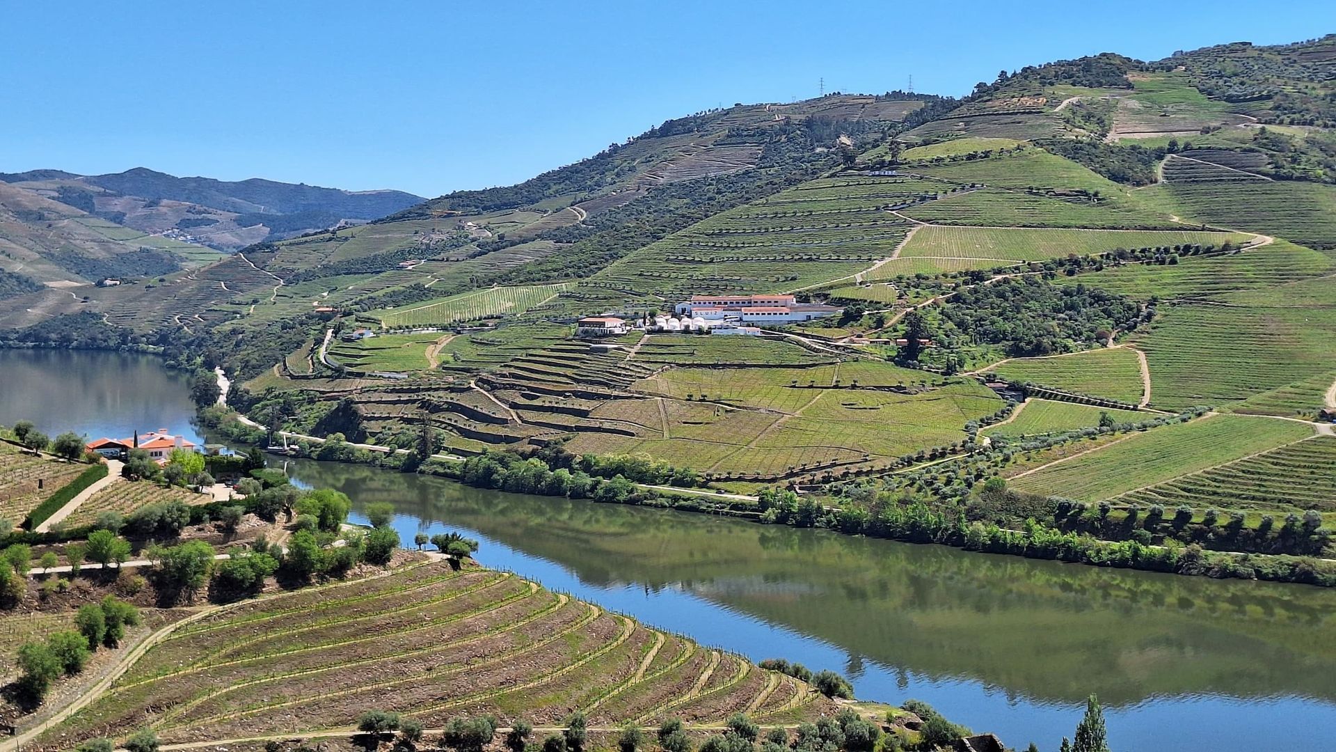 Panoramic view of the Douro Valley vineyards and river, Portugal