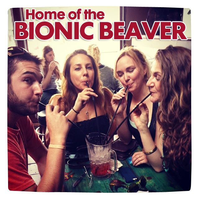 Bionic Beaver