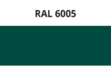 RAL6005