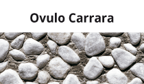 Carrara Ovum