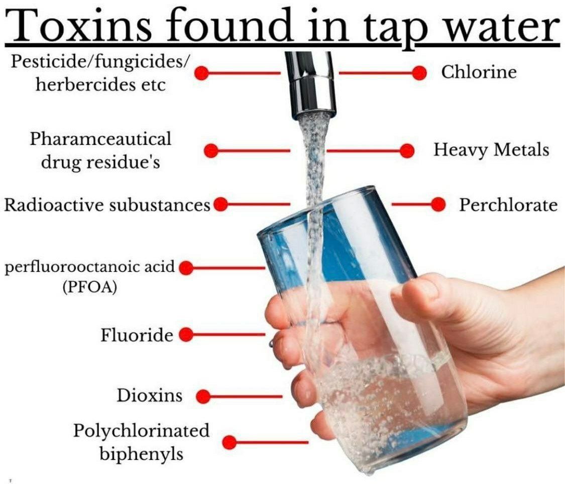 water filter and water structuring