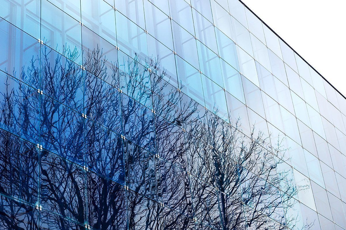 A tree is reflected in the windows of a building.