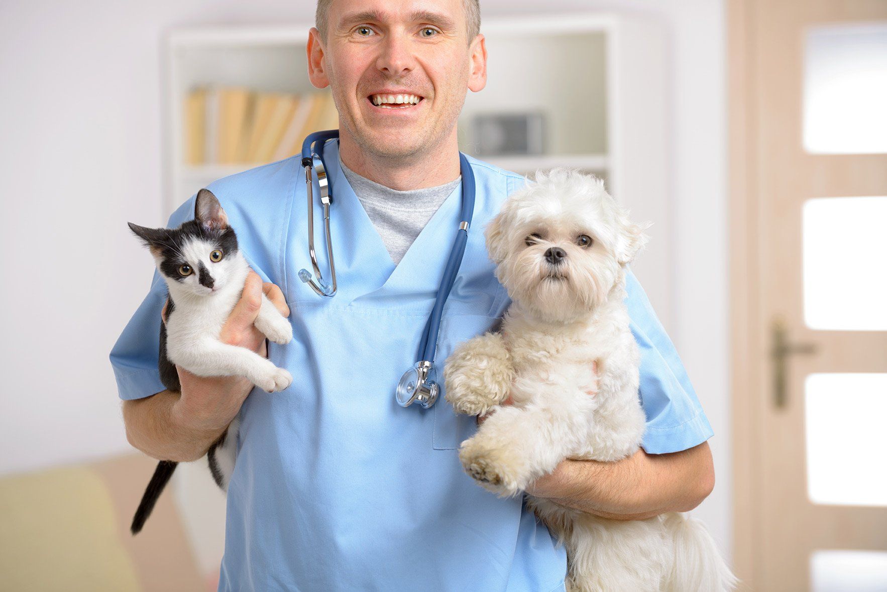 Why Should I Vaccinate My Pet?