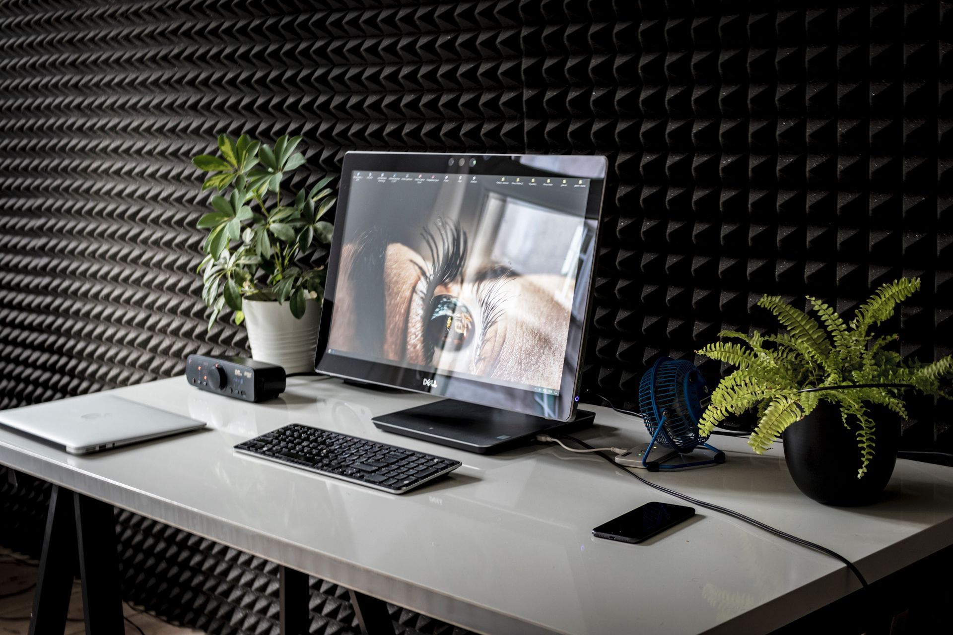 A minimalist desk with a laptop, keyboard, speakers, and plants against a soundproofed black wall.