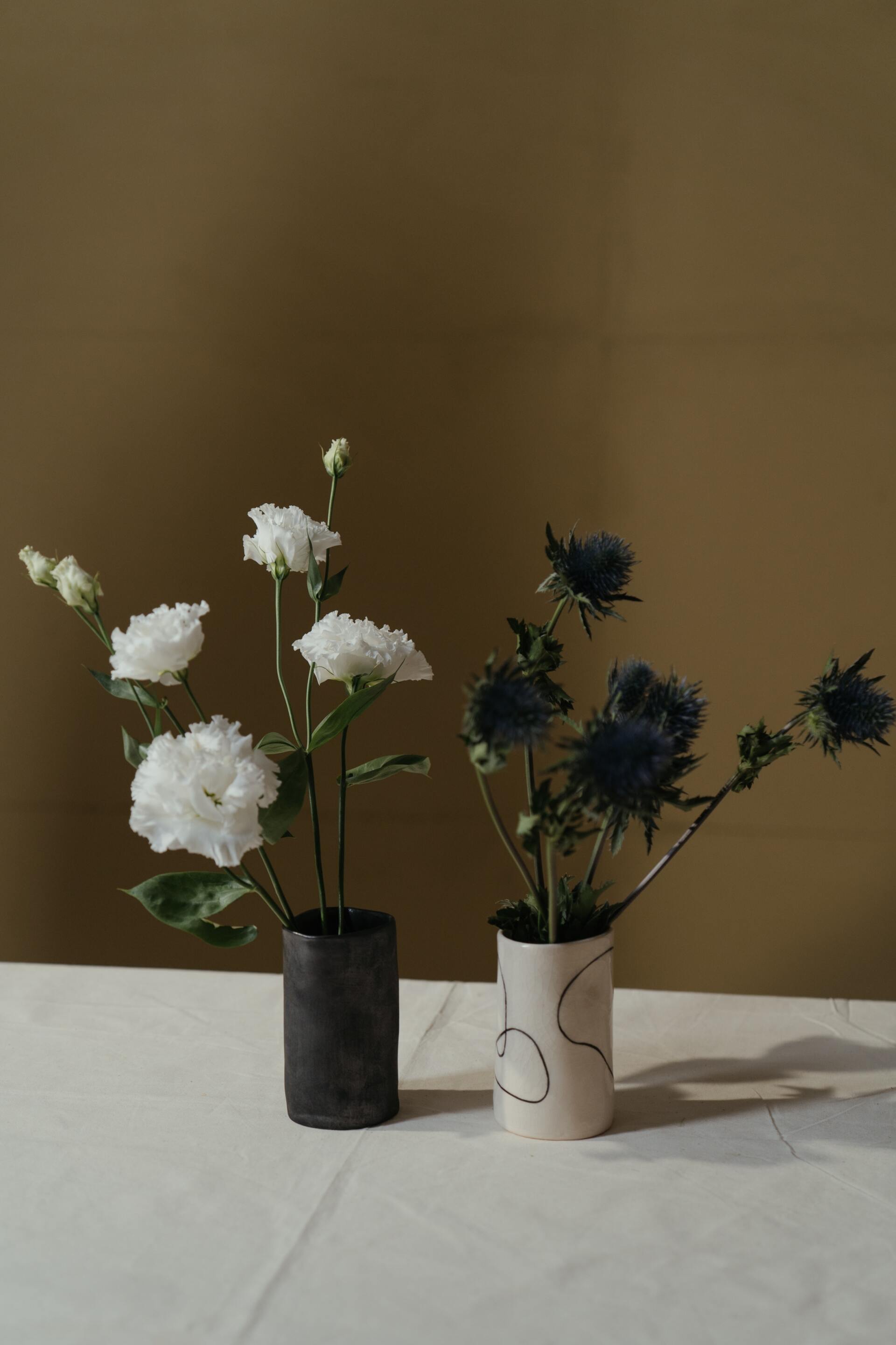 Two vases of flowers on a white surface, one with white blooms, the other with blue thistles, against a brown backdrop.