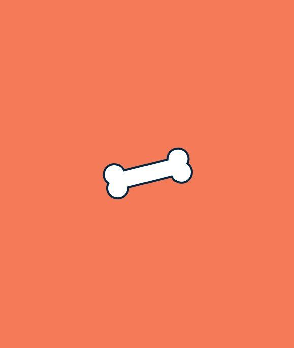 dog bone