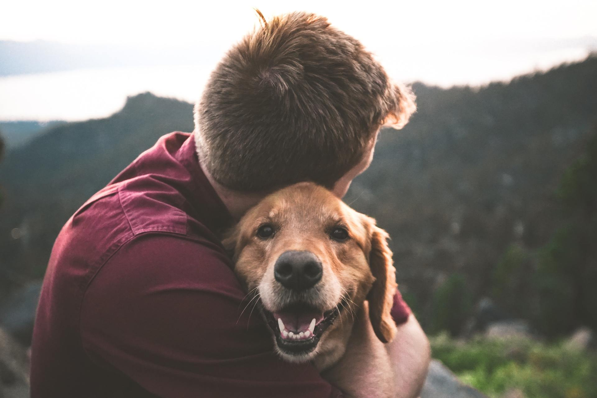 Un hombre abraza a un perro en la cima de una montaña.