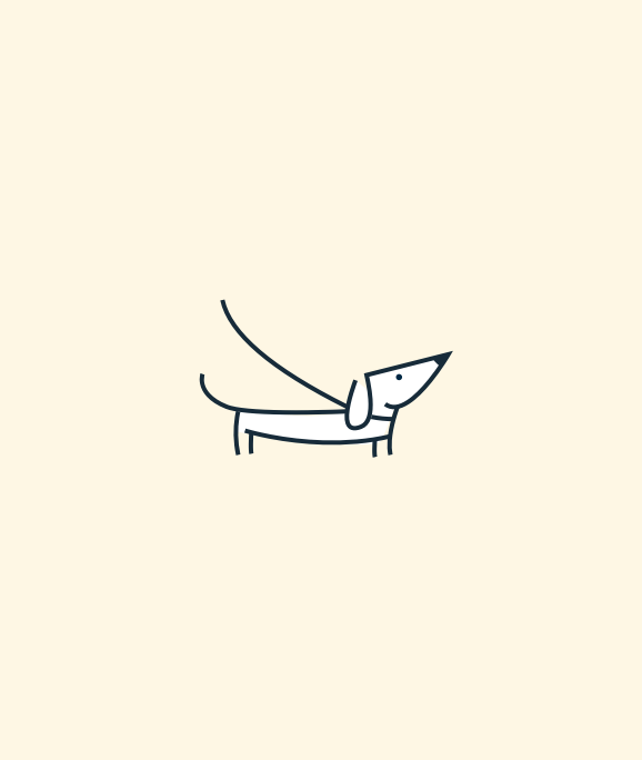 A line drawing of a dachshund on a leash.