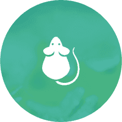 A white mouse is sitting in a green circle.