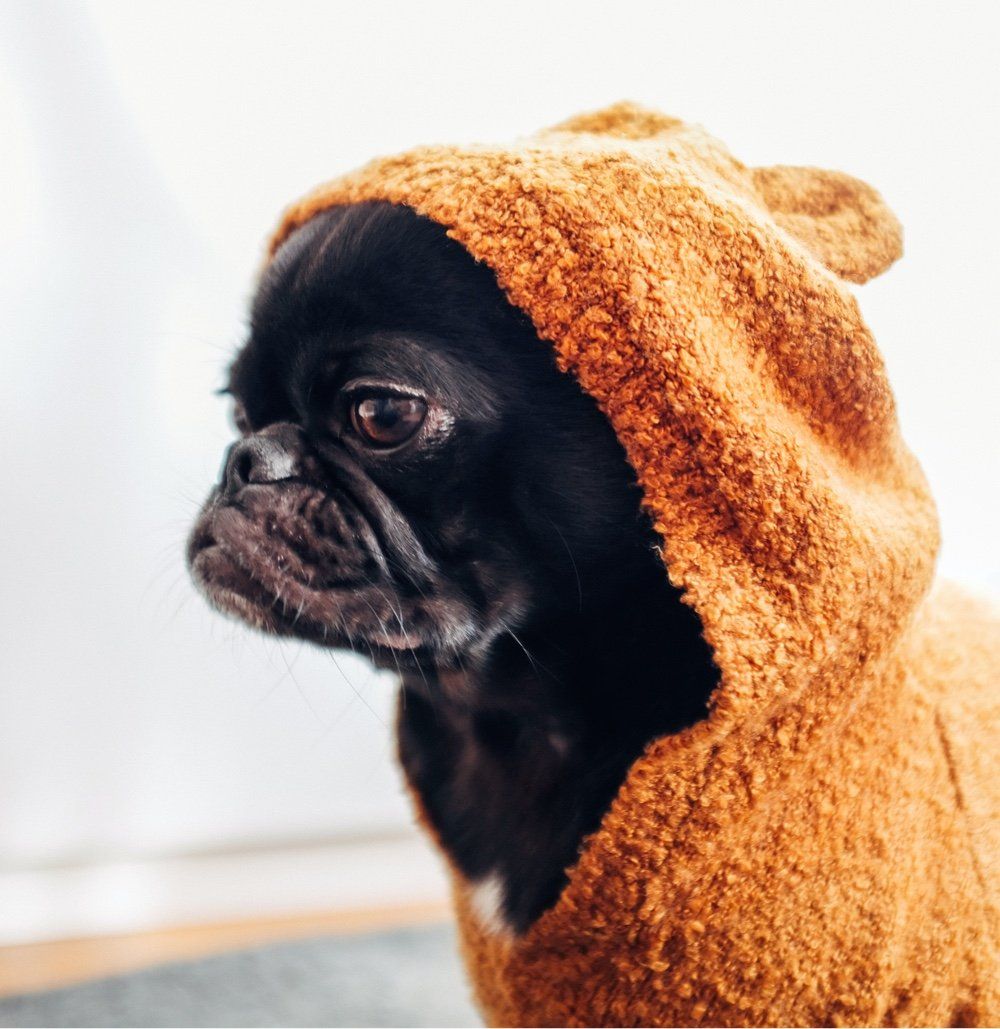 poop scoop services near me Poop Scoop Service Pooper Scooper Hoffman Estates Schaumburg