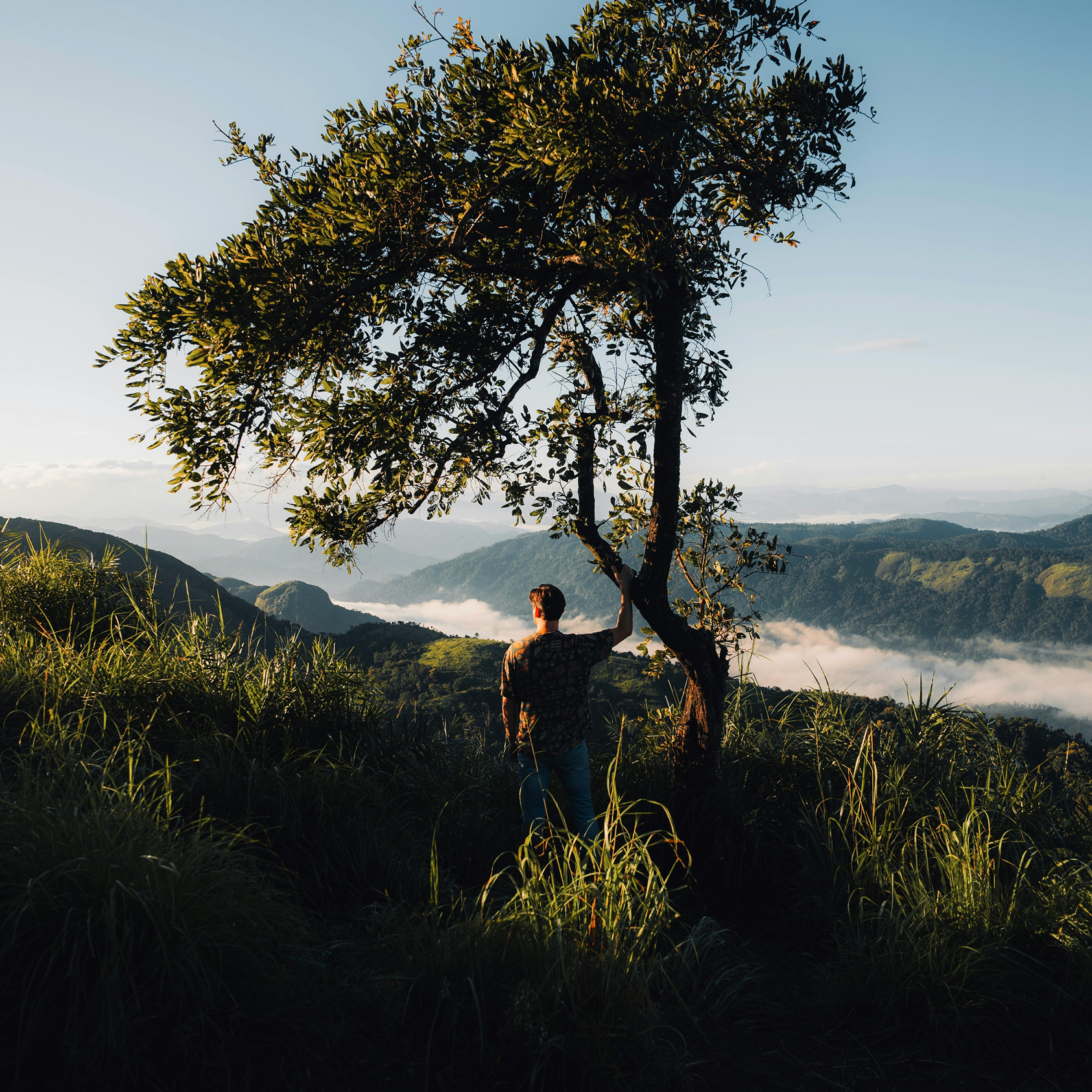 Silhouette of a person standing by a lone tree on a misty mountain hillside at sunrise