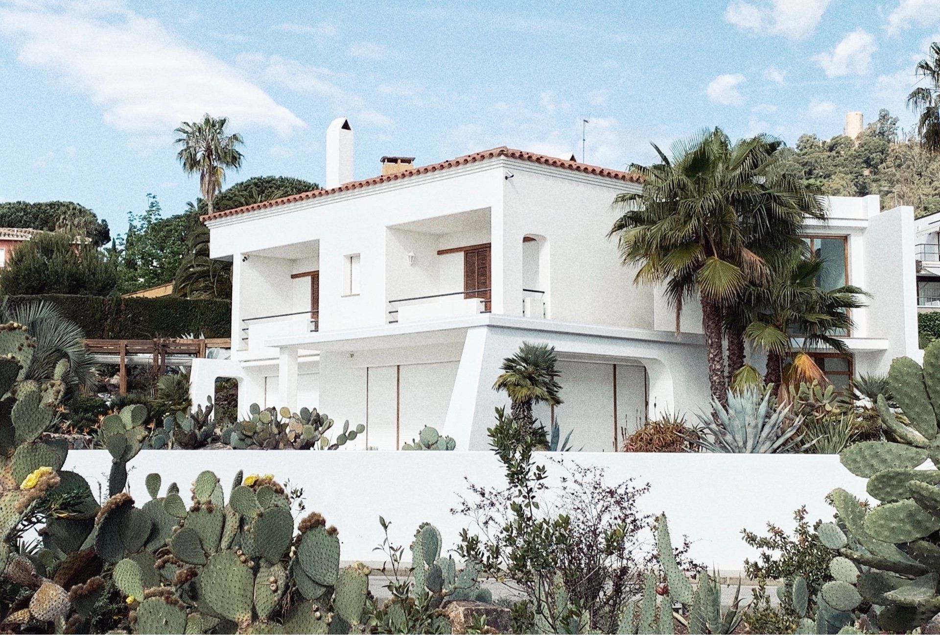 Een groot wit huis met een cactus ervoor