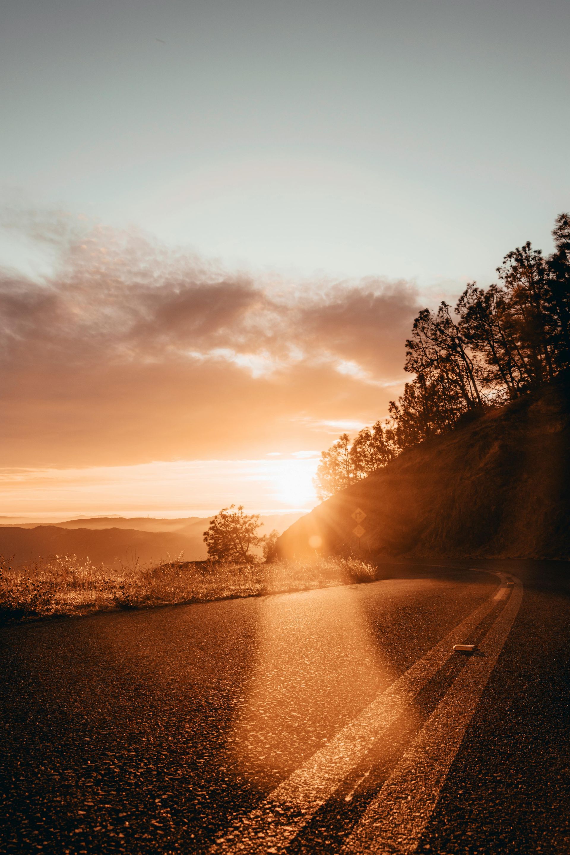 The sun is setting over a road with trees on the side of it.