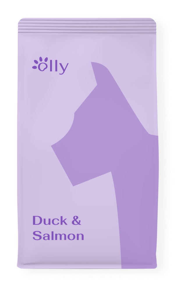 Duck & Salmon
