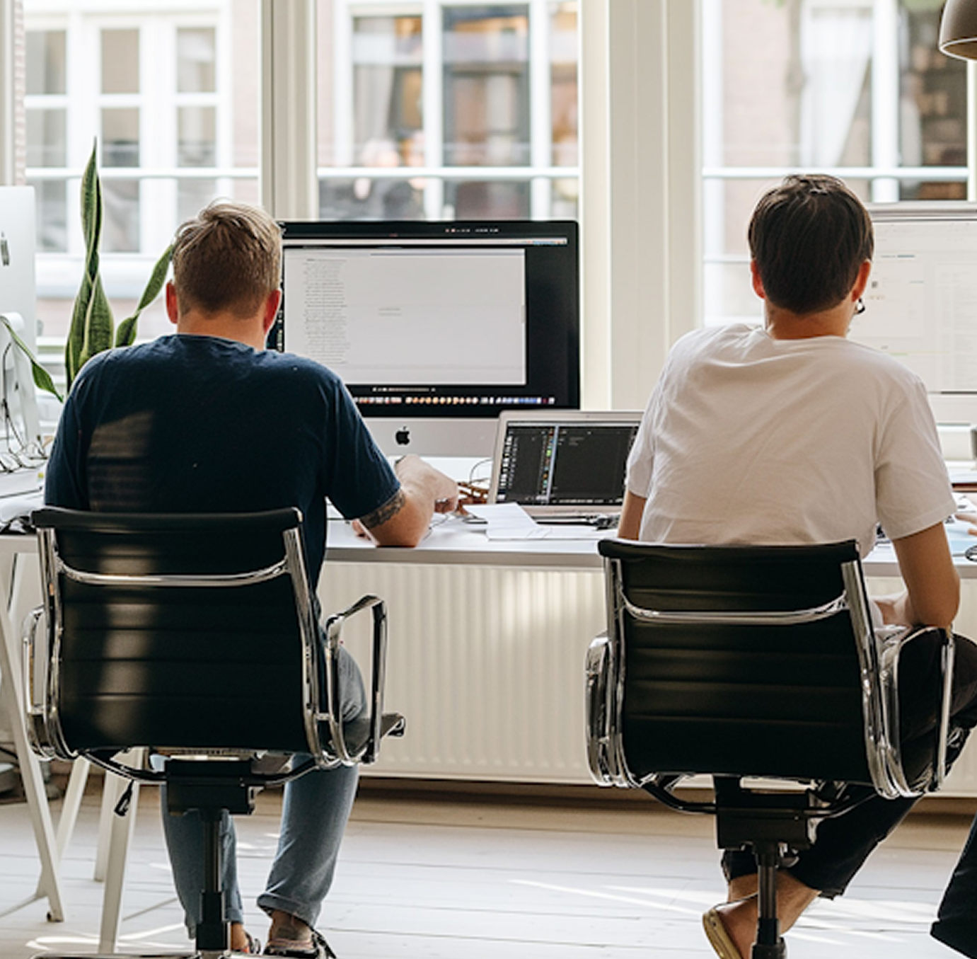 Two people seated at desks working on computers in a bright office
