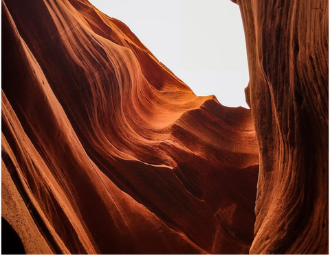 Red rock canyon walls, textured and layered, illuminated by sunlight.
