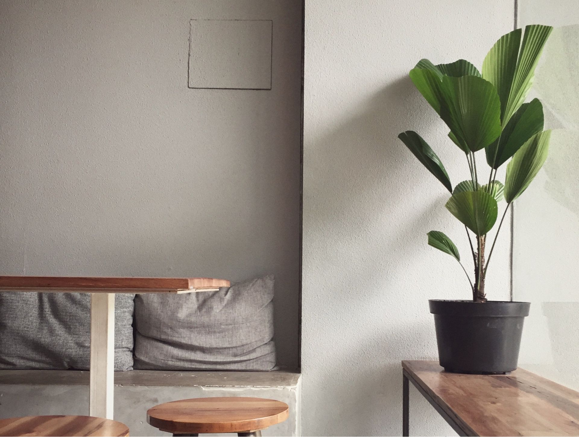 A potted plant on a wooden shelf next to a wall with built-in seating.