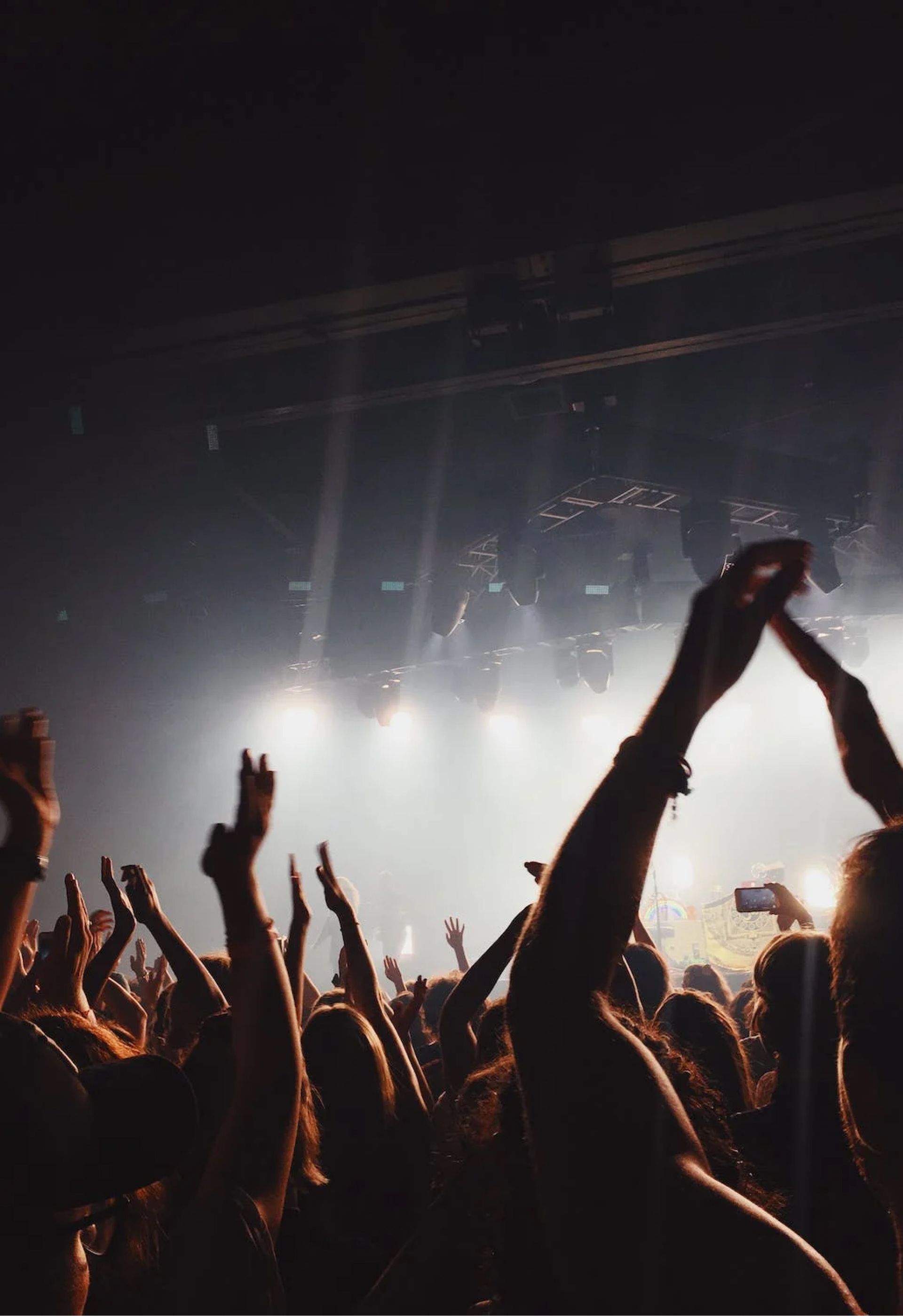 A crowd of people at a concert with their hands in the air