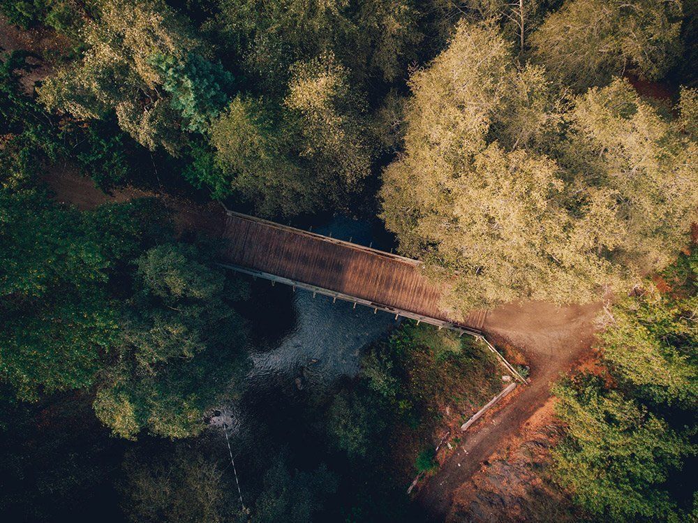 Eine Luftaufnahme einer Brücke mitten in einem Wald.