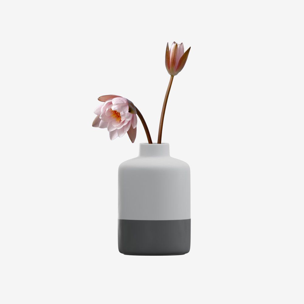 Minimal Ceramic Vase
