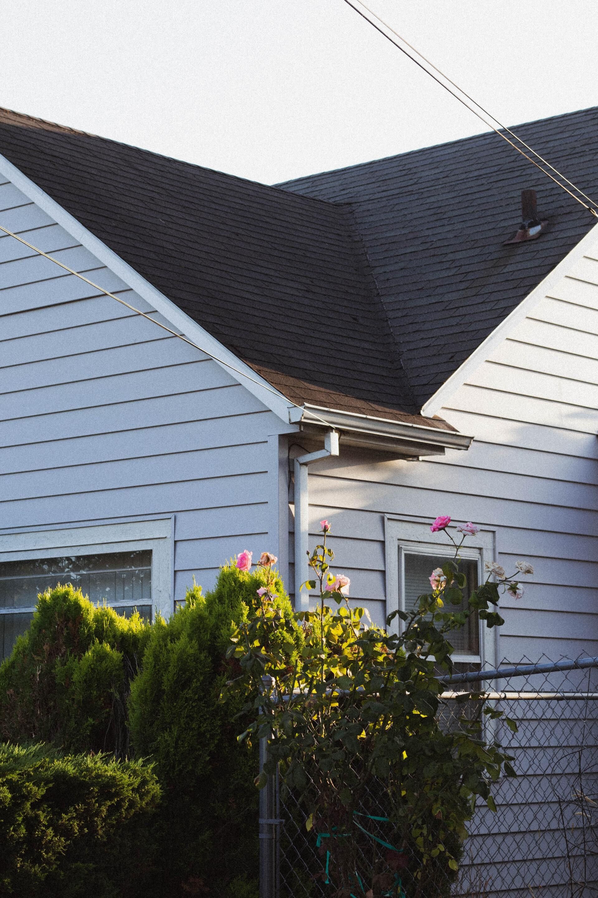 Light blue house with dark roof, windows, and lush green bushes with pink roses in front.