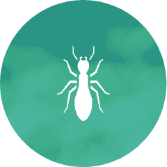 A white ant is sitting in a green circle, one of the bugs Ida Bug Guy provides services for.