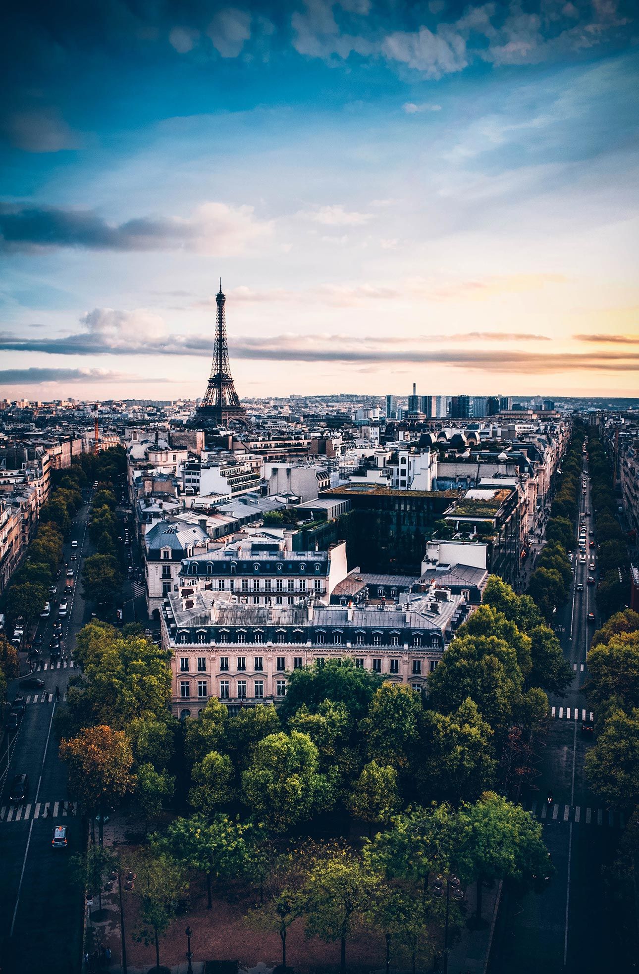 Aerial photo of Paris. Terraced buildings and trees in foreground. Eiffel Tower in the distance.