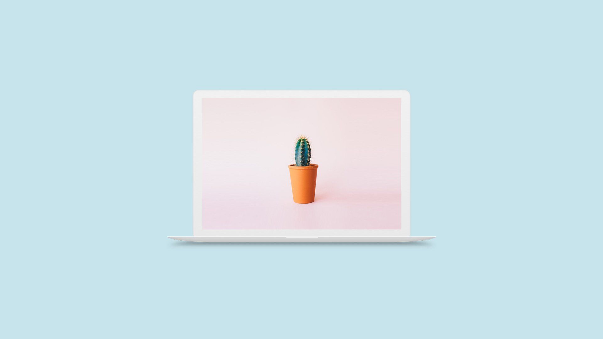 A laptop with a picture of a cactus in a pot on the screen.