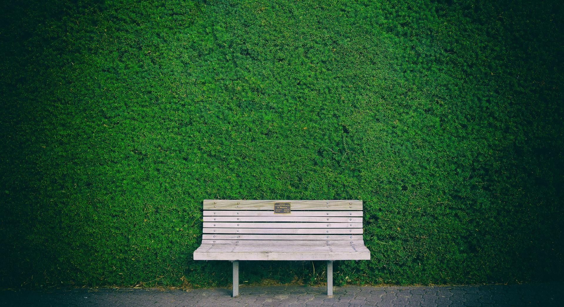 A wooden bench is sitting in front of a green hedge.