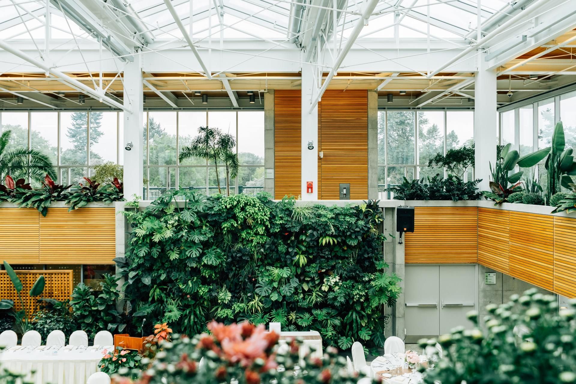 A greenhouse filled with lots of plants and flowers.