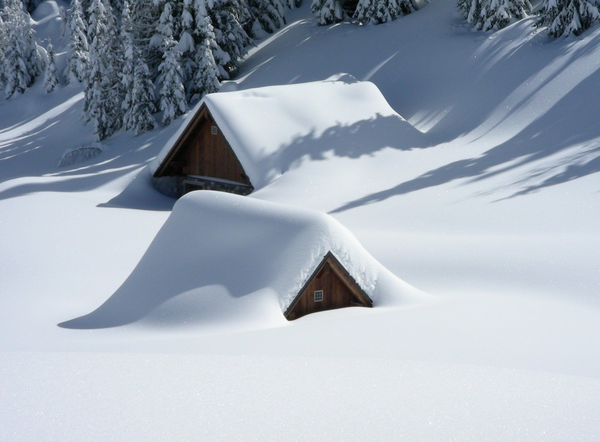 two houses covered in snow with trees in the background