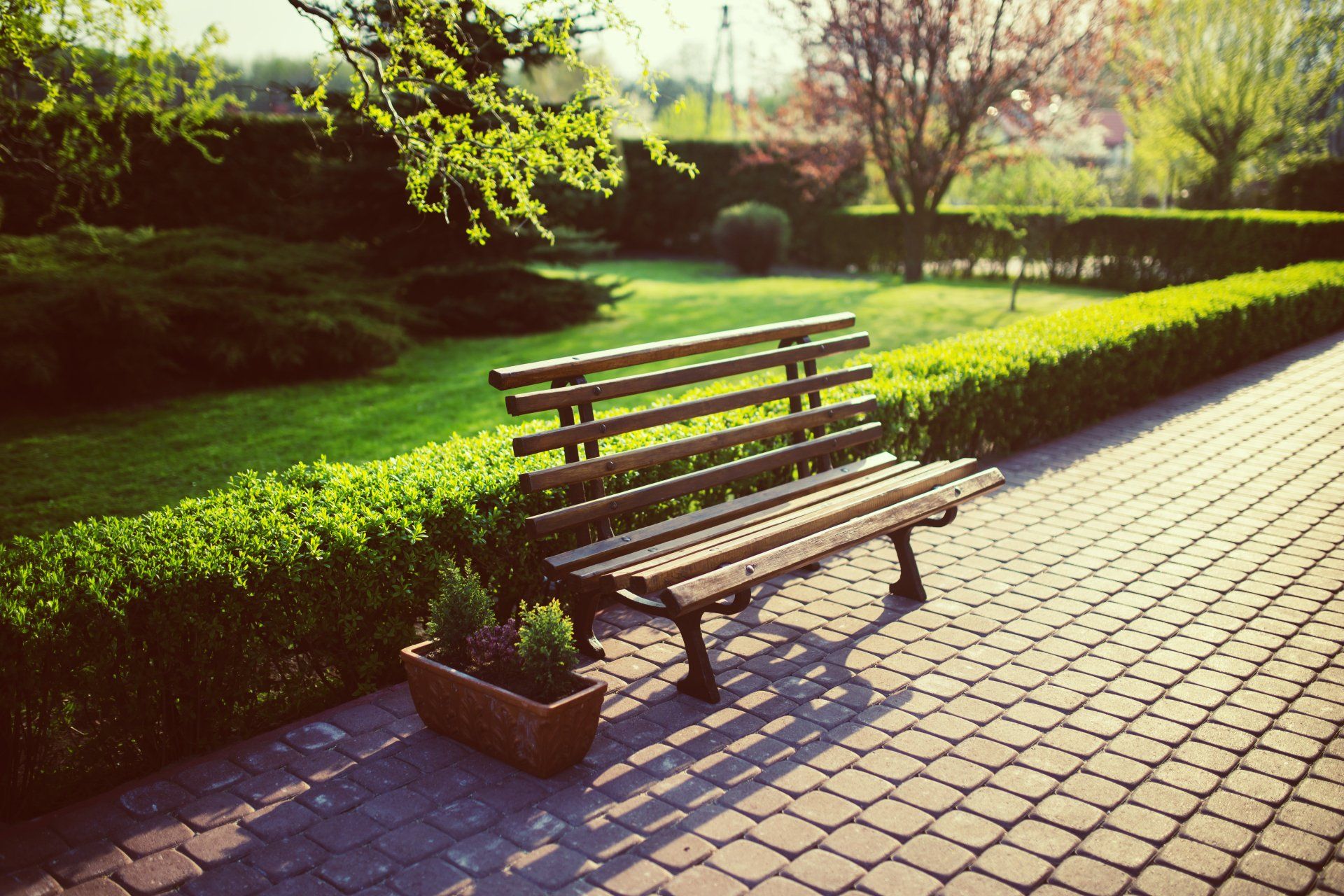 A wooden bench sits on a brick walkway in a park