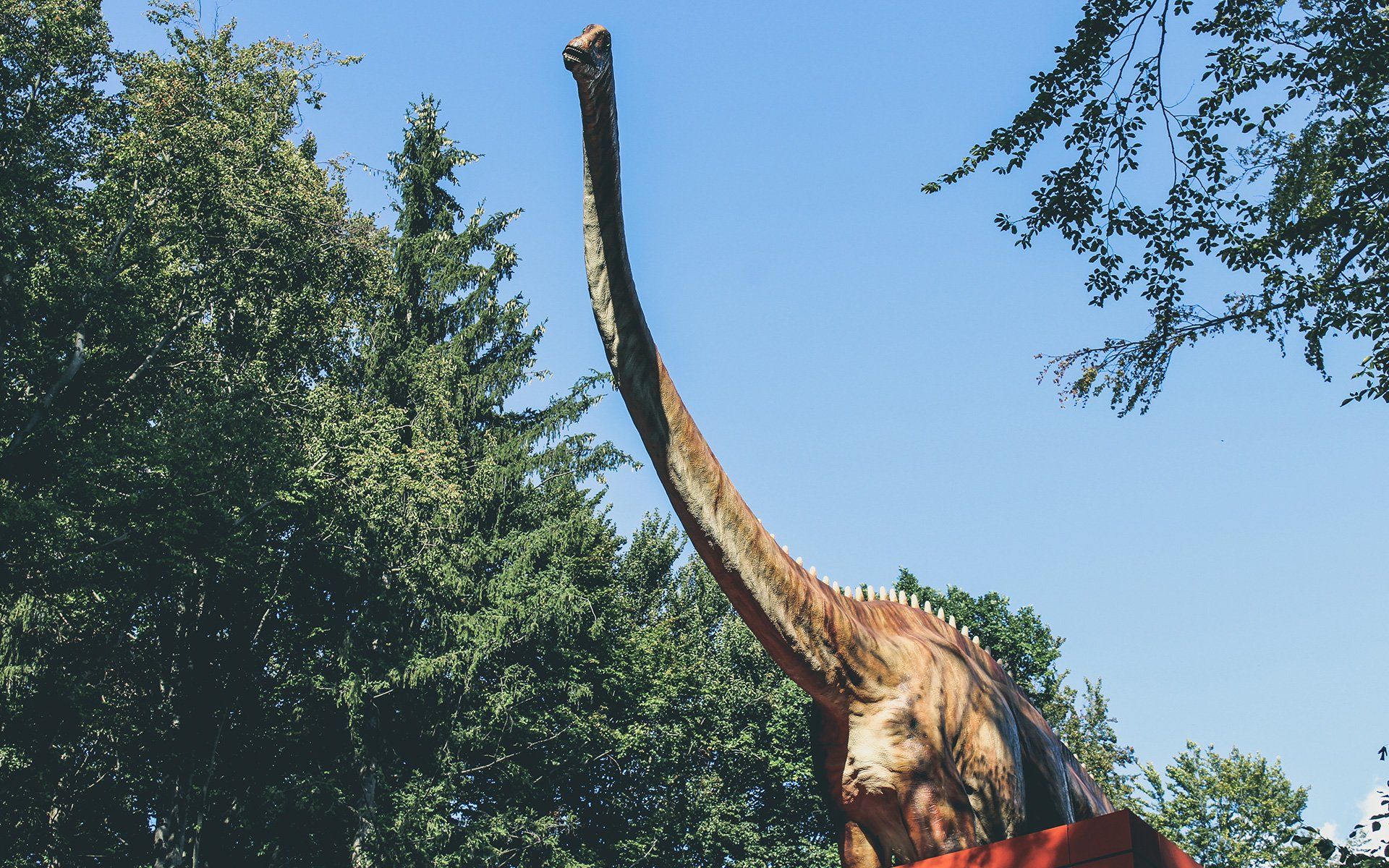 dinosaur-museum