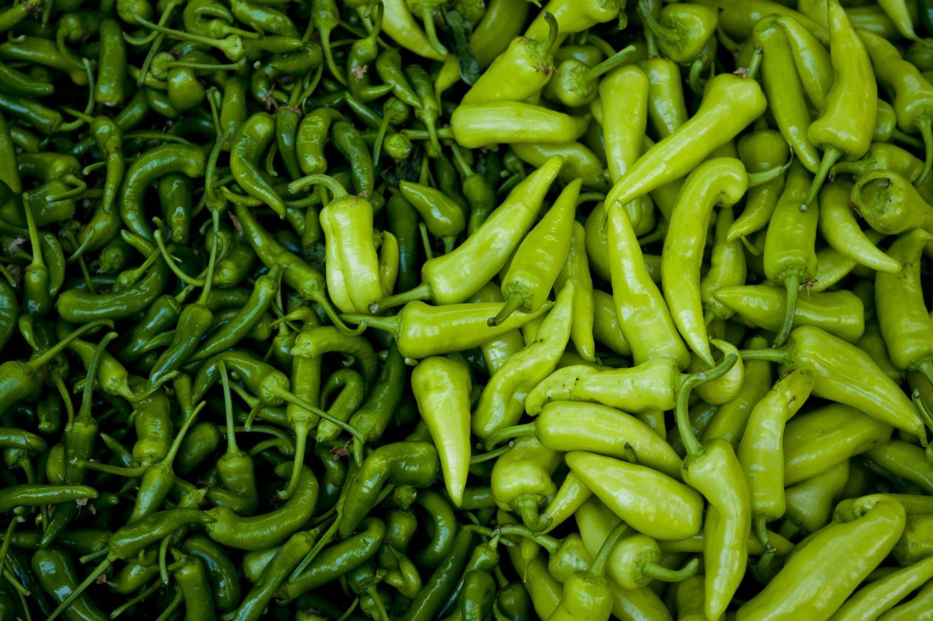 Hydroponic Produce Store