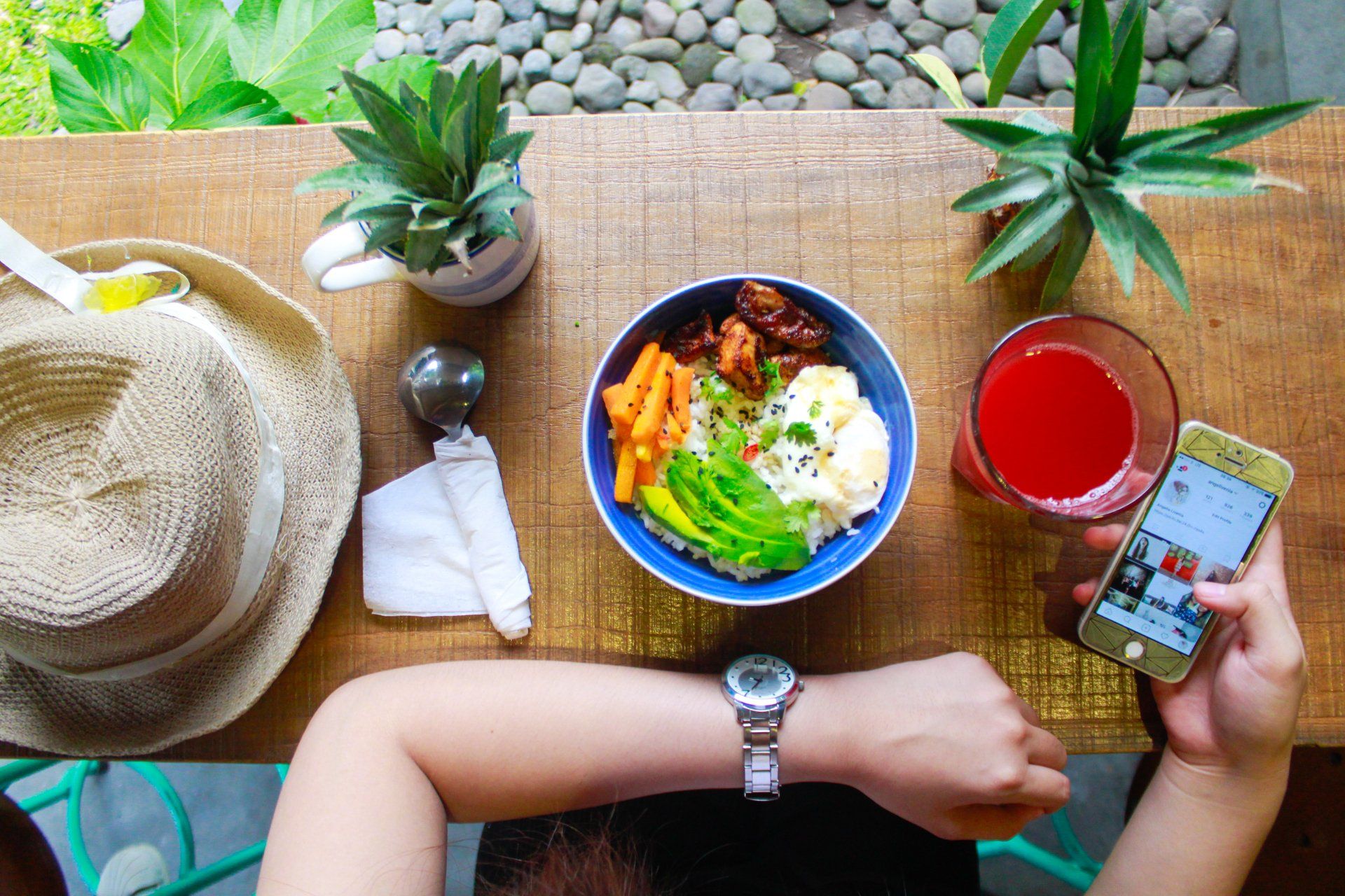 Balanced Meal-My Nutri-Goal