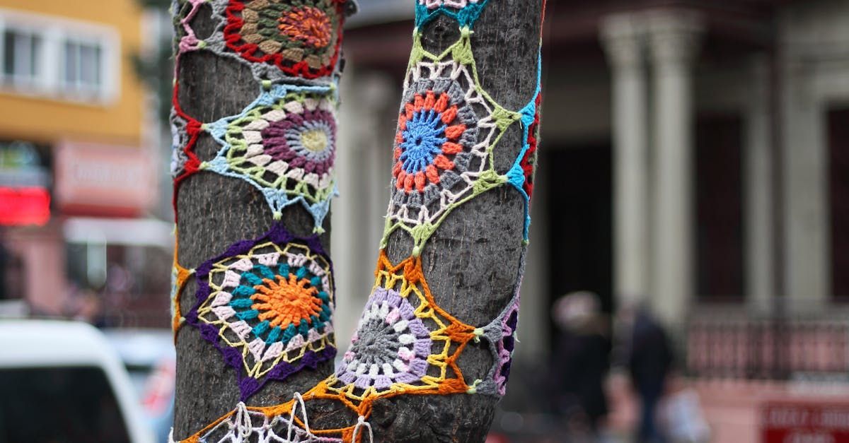 filo di scozia n. 8 bicolore