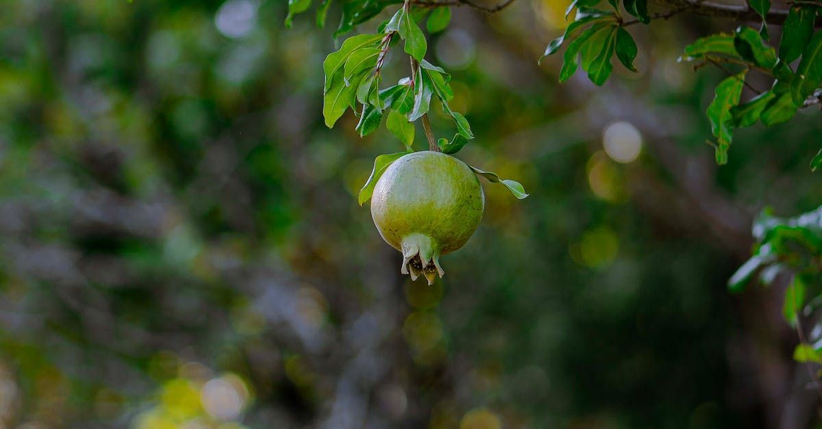 Degusta España: Marketing Digital para Hostelería y Empresas de Alimentación