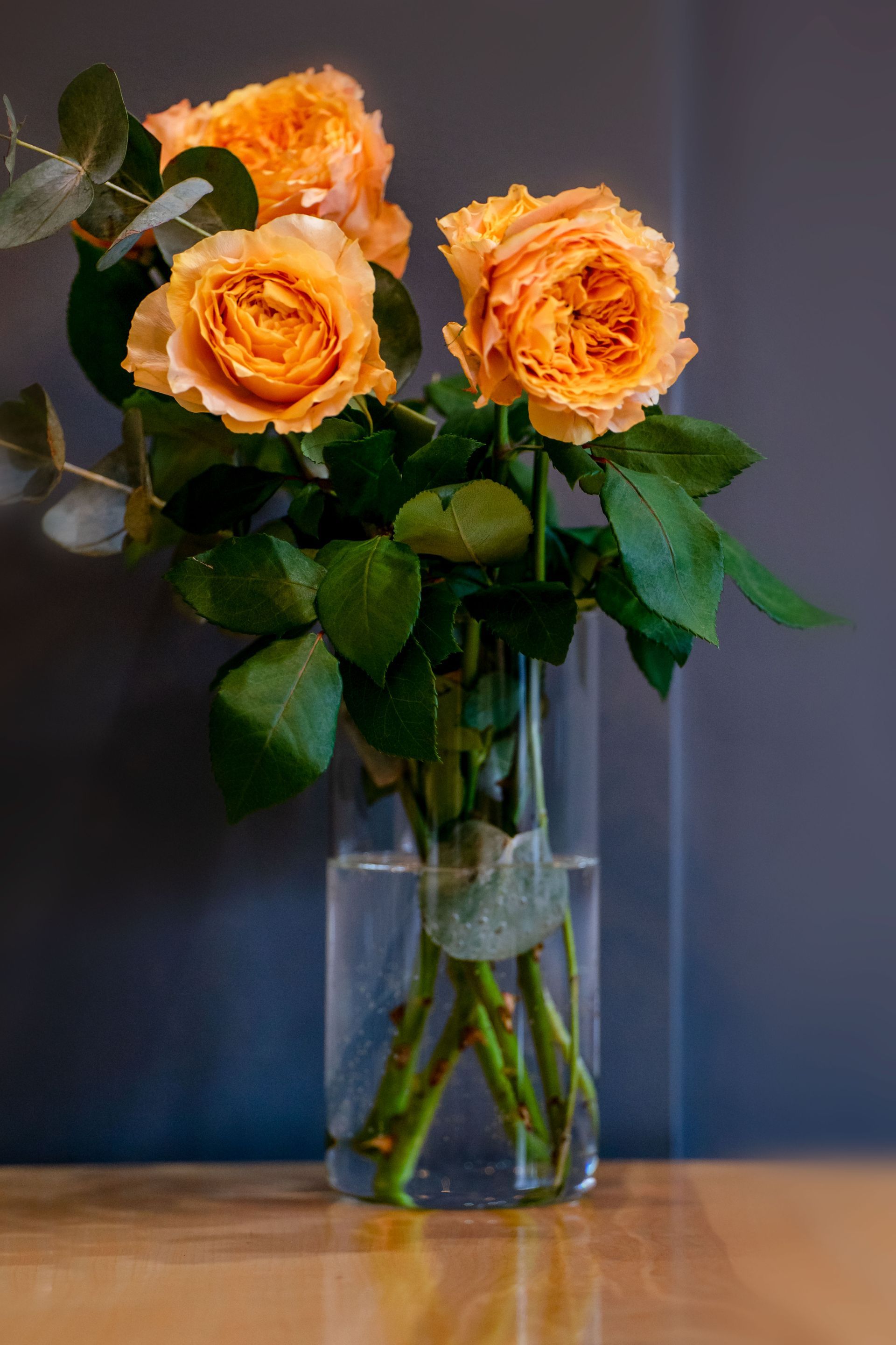 Bloom My House, DIY flowers