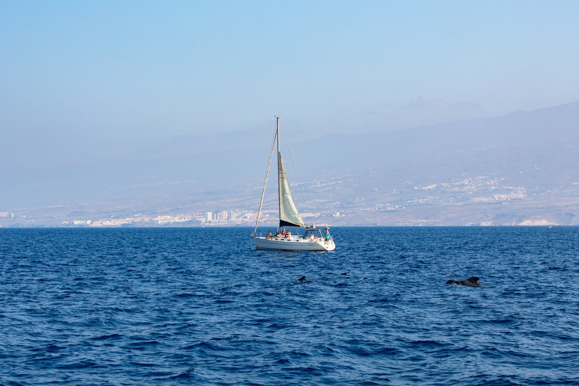A boat sailing in Mola Mola, Tenerife, Spain.