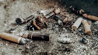 Des mégots de cigarettes et des cendres éparpillés sur une surface sale et grise.