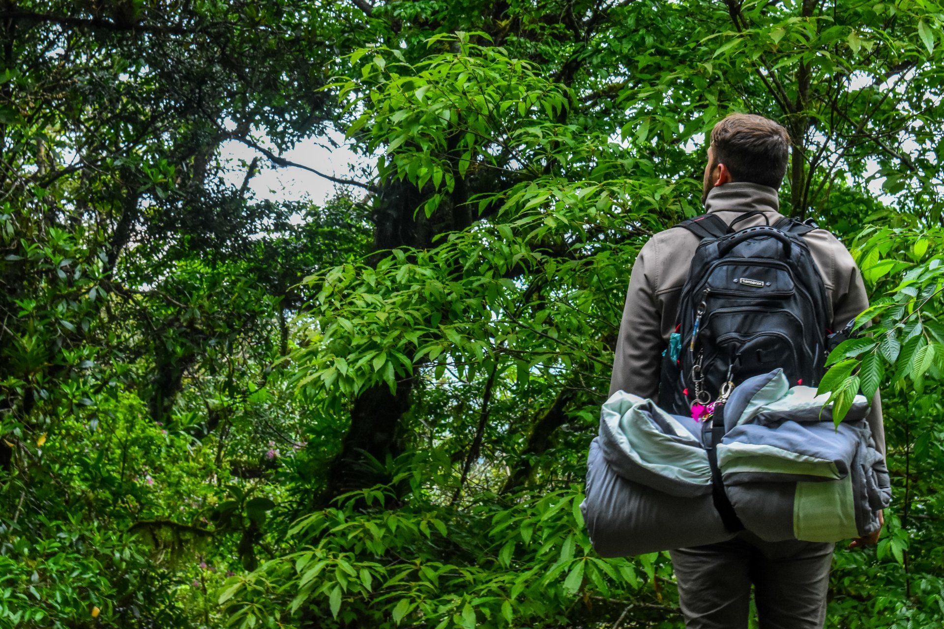 A man with a backpack is standing in the middle of a forest.
