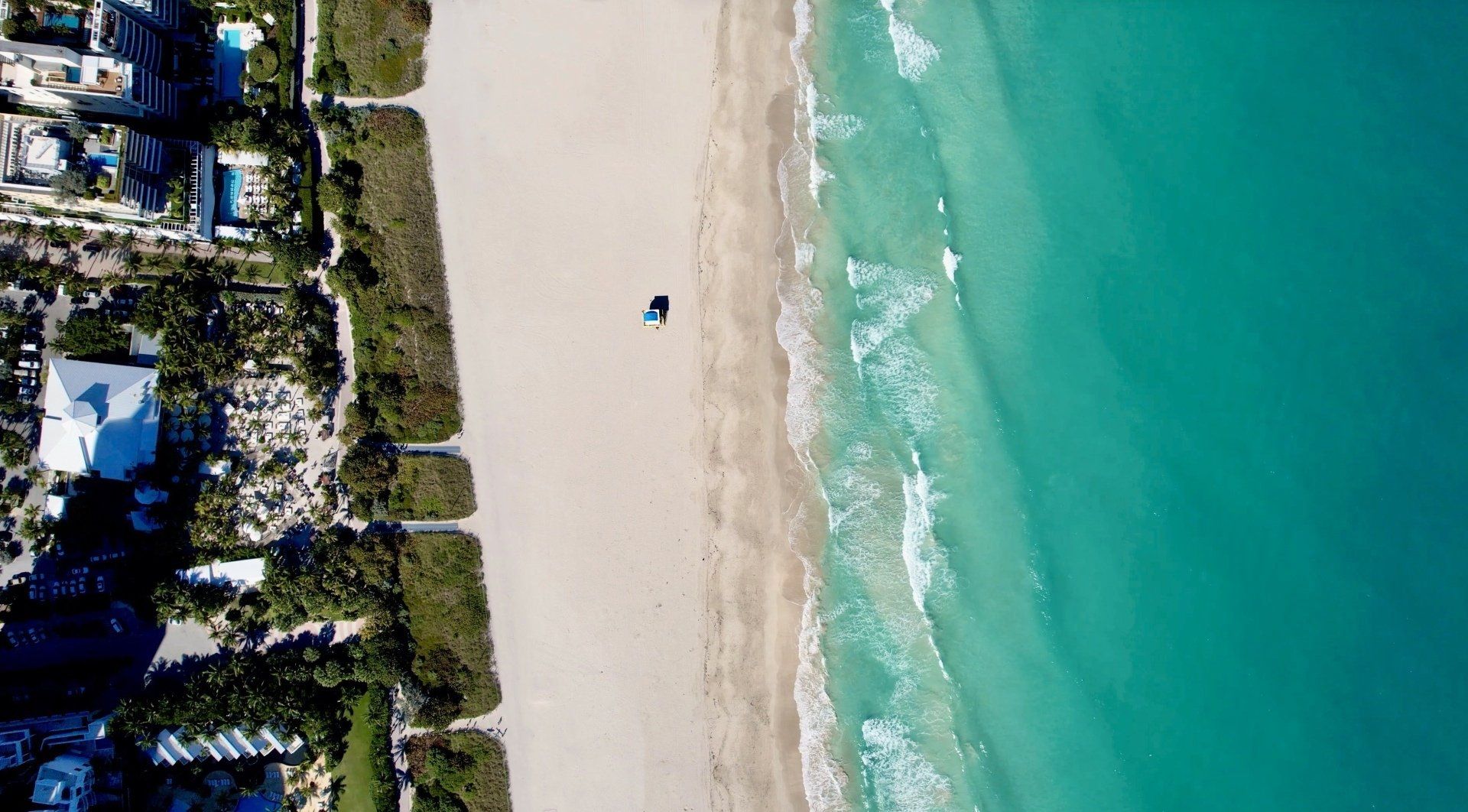 an aerial view of a beach with waves crashing on the shore .
