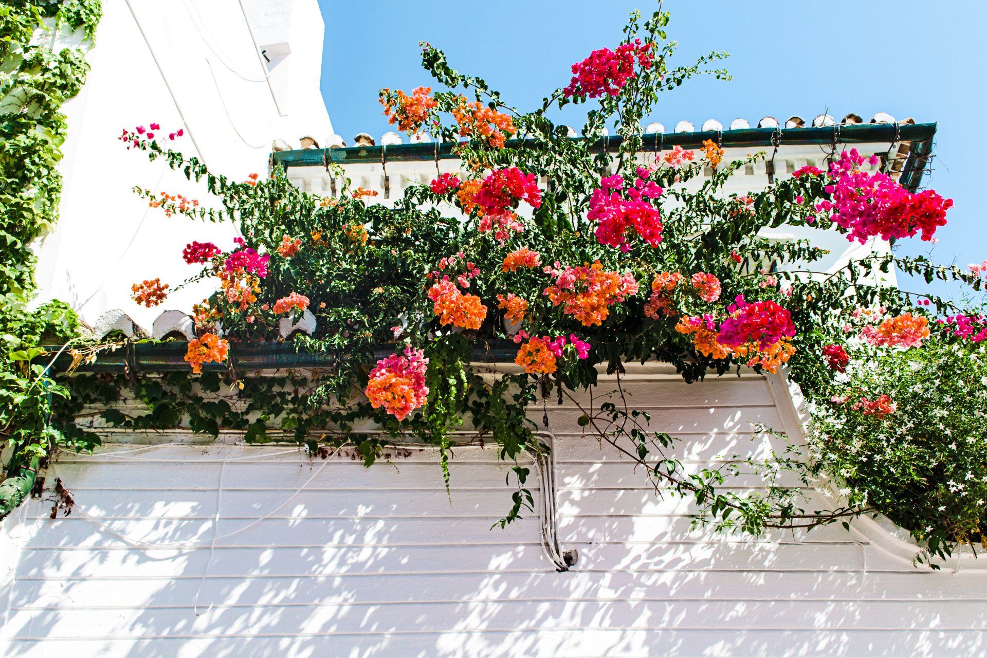 A white building with flowers growing on it