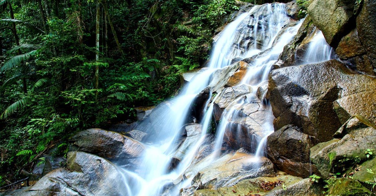 A waterfall is surrounded by rocks in the middle of a forest.