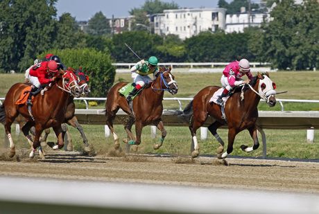 A group of horses are racing on a race track.