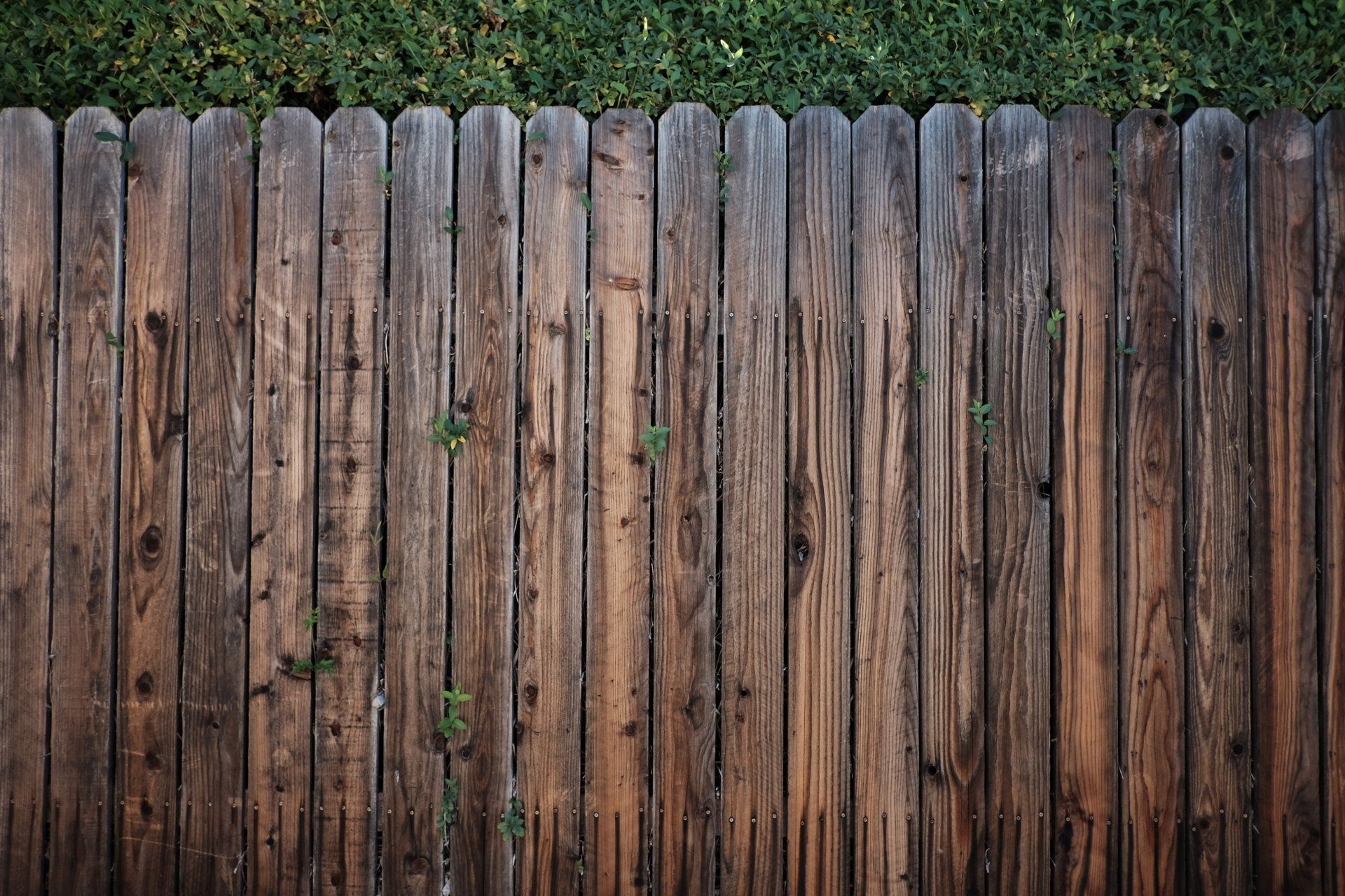 Stained wooden fence