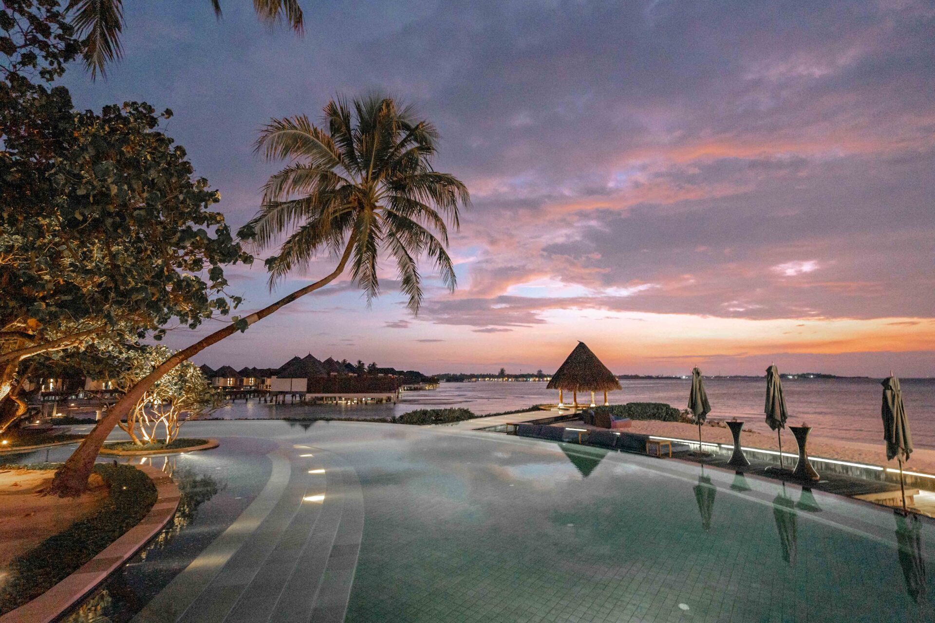 An infinity pool surrounded by palm trees and umbrellas overlooking the ocean at sunset