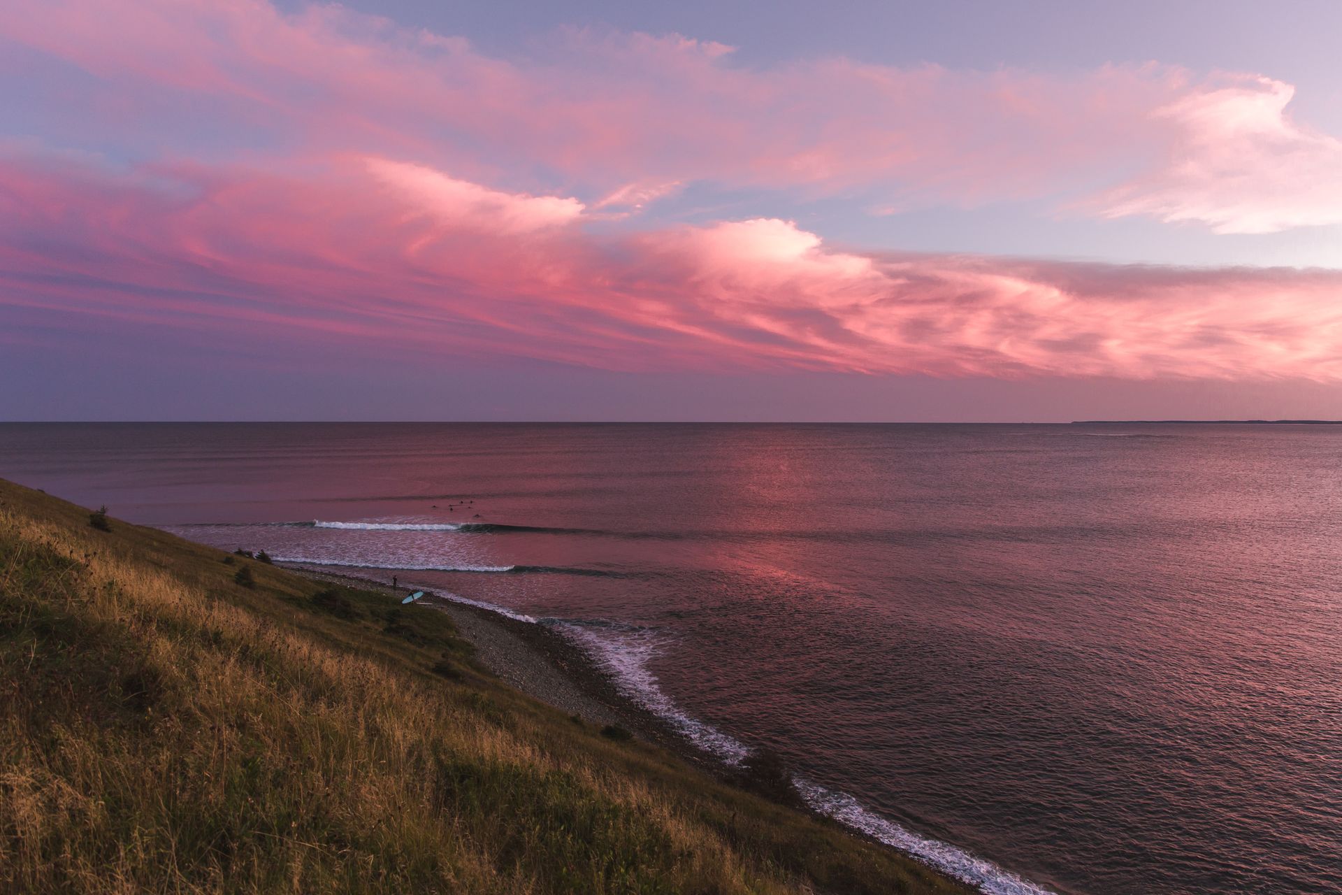 A sunset over the ocean with pink clouds and a grassy hill in the foreground in Halifax NS