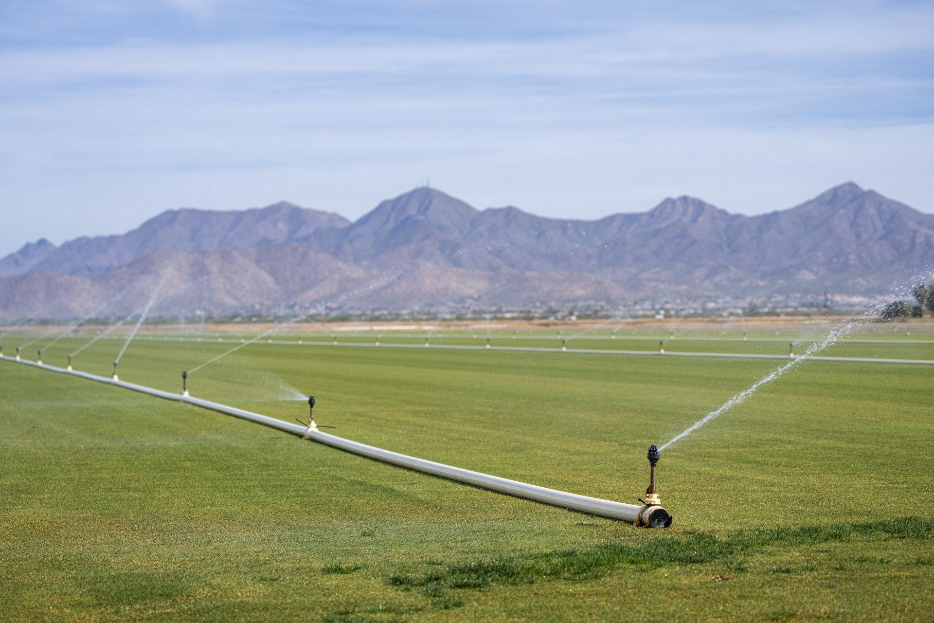 Vulcan prevents limescale buildup in irrigation systems for $20 per year.