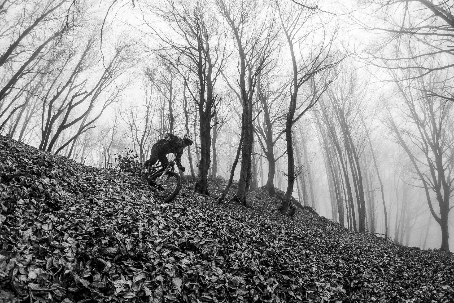 BLUFF POINT NETWORK GROTON CONNECTICUT